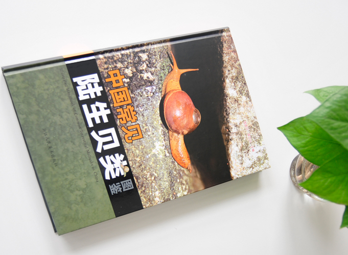 中国常见陆生贝类图鉴  精装书 精装画册印刷